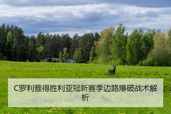 C罗利雅得胜利亚冠新赛季边路爆破战术解析