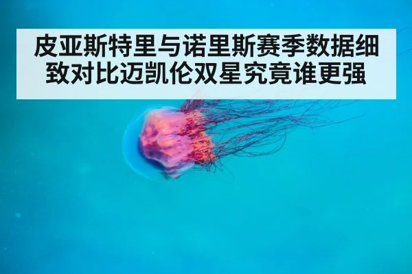 皮亚斯特里与诺里斯赛季数据细致对比迈凯伦双星究竟谁更强